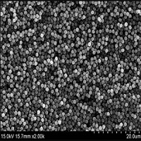 What are the benefits of choosing Carboxyl-functionalized magnetic silica nanoparticles?